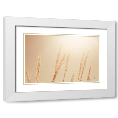 Noon Grasses II White Modern Wood Framed Art Print with Double Matting by Larson, Nathan