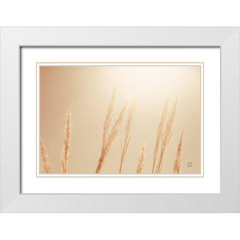 Noon Grasses II White Modern Wood Framed Art Print with Double Matting by Larson, Nathan