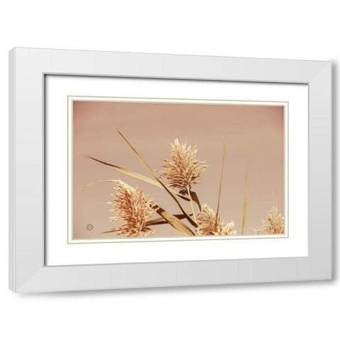 Noon Grasses III White Modern Wood Framed Art Print with Double Matting by Larson, Nathan