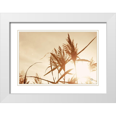 Noon Grasses IV White Modern Wood Framed Art Print with Double Matting by Larson, Nathan