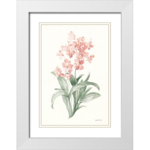 Spring Orchid I White Modern Wood Framed Art Print with Double Matting by Nai, Danhui