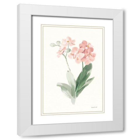 Spring Orchid II White Modern Wood Framed Art Print with Double Matting by Nai, Danhui