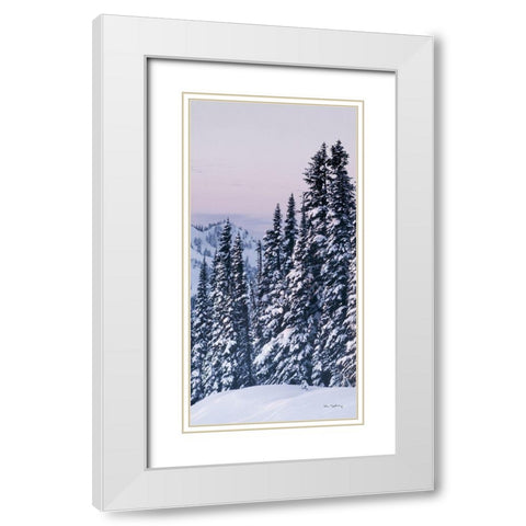 Tatoosh Range Panel III White Modern Wood Framed Art Print with Double Matting by Majchrowicz, Alan