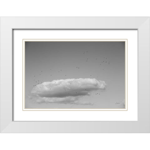 Flock in Flight White Modern Wood Framed Art Print with Double Matting by Aledanda