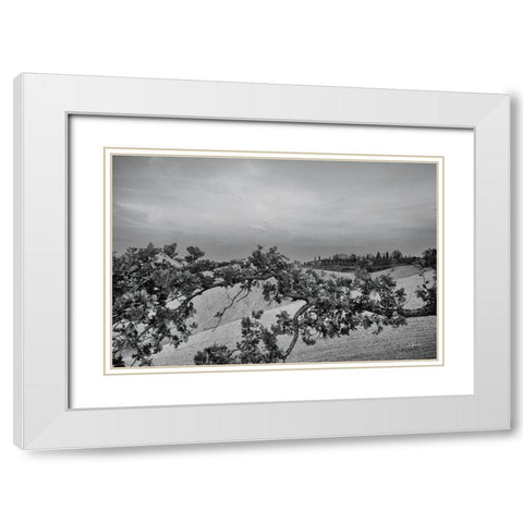 Villa View White Modern Wood Framed Art Print with Double Matting by Aledanda
