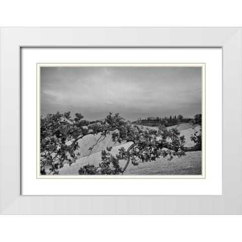 Villa View White Modern Wood Framed Art Print with Double Matting by Aledanda