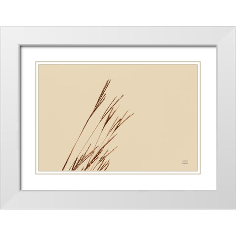 Lakeside Grasses IV White Modern Wood Framed Art Print with Double Matting by Larson, Nathan