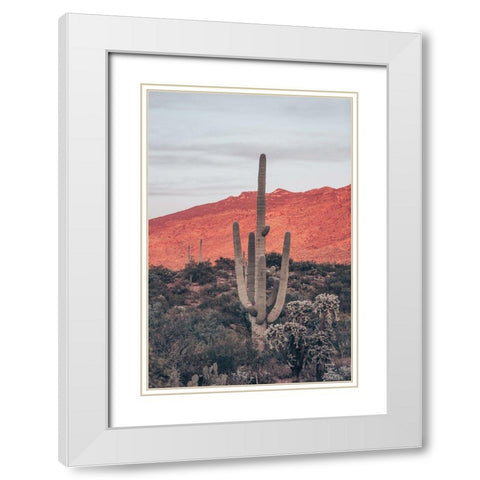 Sunsets and Saguaros I White Modern Wood Framed Art Print with Double Matting by Larson, Nathan