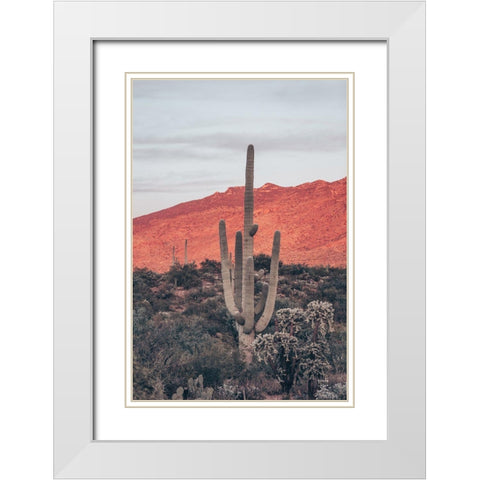 Sunsets and Saguaros I White Modern Wood Framed Art Print with Double Matting by Larson, Nathan
