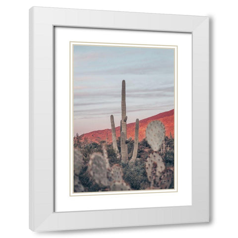 Sunsets and Saguaros II White Modern Wood Framed Art Print with Double Matting by Larson, Nathan