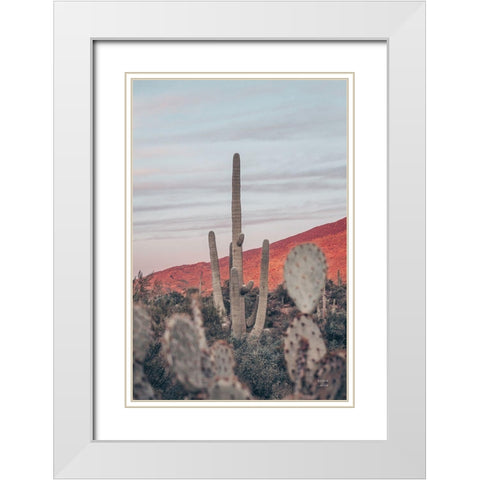 Sunsets and Saguaros II White Modern Wood Framed Art Print with Double Matting by Larson, Nathan