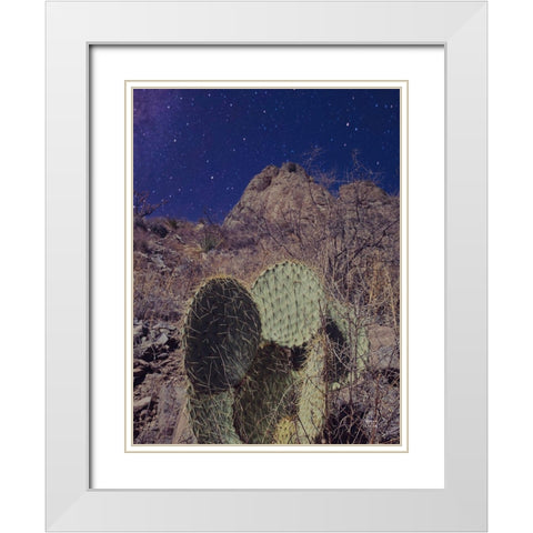 Prickly Stars White Modern Wood Framed Art Print with Double Matting by Larson, Nathan
