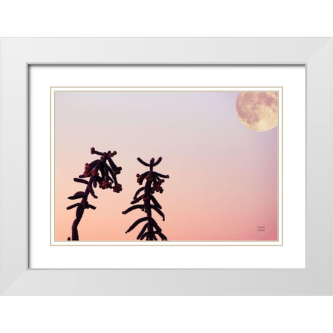 Moon Desert White Modern Wood Framed Art Print with Double Matting by Larson, Nathan