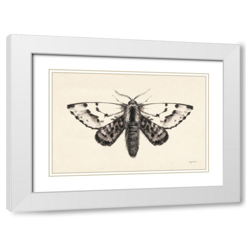 Moth IV White Modern Wood Framed Art Print with Double Matting by Tillmon, Avery