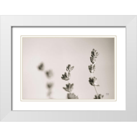 Lavender Study White Modern Wood Framed Art Print with Double Matting by Larson, Nathan