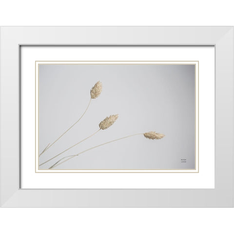 Grass Study Color White Modern Wood Framed Art Print with Double Matting by Larson, Nathan