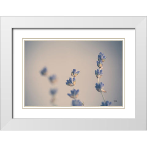 Lavender Study Color White Modern Wood Framed Art Print with Double Matting by Larson, Nathan