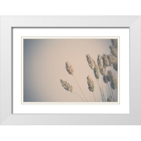 Dried Grass Study White Modern Wood Framed Art Print with Double Matting by Larson, Nathan