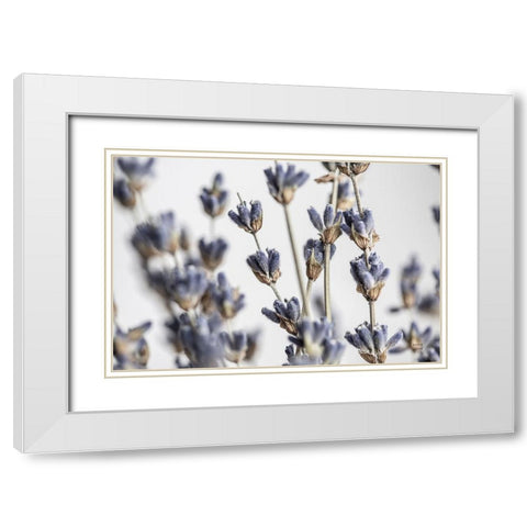 Lavender Bouquet White Modern Wood Framed Art Print with Double Matting by Larson, Nathan
