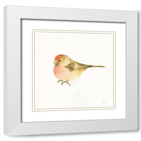 Watercolor Birds III White Modern Wood Framed Art Print with Double Matting by Novak, Shirley