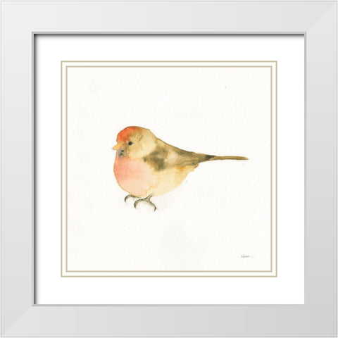Watercolor Birds III White Modern Wood Framed Art Print with Double Matting by Novak, Shirley