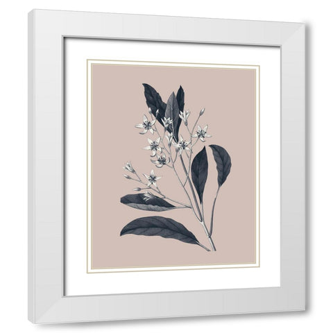 Botanical V on Pink White Modern Wood Framed Art Print with Double Matting by Wild Apple Portfolio