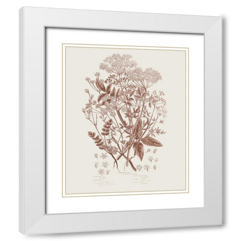 Flowering Plants I Brown White Modern Wood Framed Art Print with Double Matting by Portfolio, Wild Apple