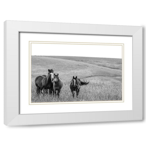 Montana Moves White Modern Wood Framed Art Print with Double Matting by Larson, Nathan