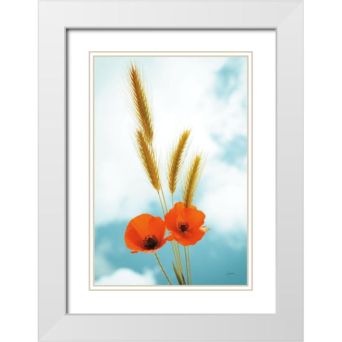 Wild Poppies White Modern Wood Framed Art Print with Double Matting by Aledanda