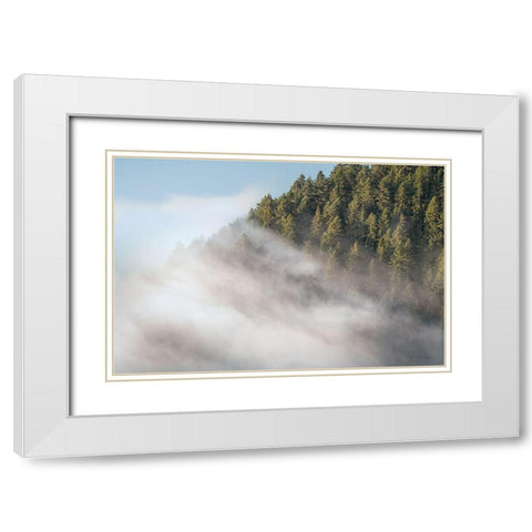 Fog and Forest I White Modern Wood Framed Art Print with Double Matting by Majchrowicz, Alan