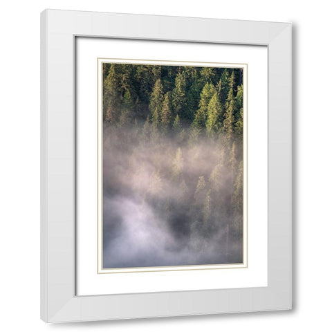 Fog and Forest II White Modern Wood Framed Art Print with Double Matting by Majchrowicz, Alan