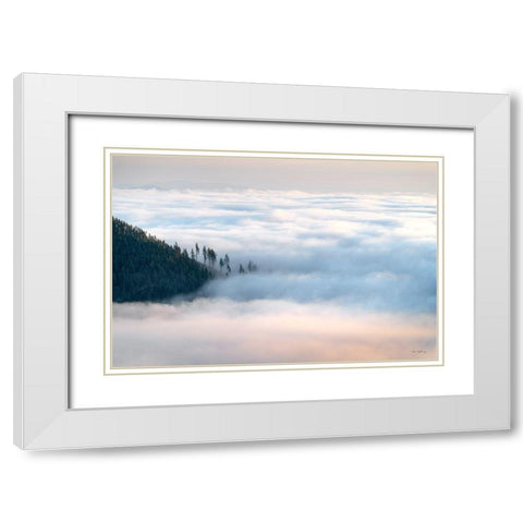 Fog and Forest III White Modern Wood Framed Art Print with Double Matting by Majchrowicz, Alan
