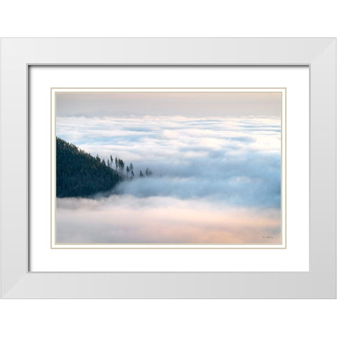 Fog and Forest III White Modern Wood Framed Art Print with Double Matting by Majchrowicz, Alan