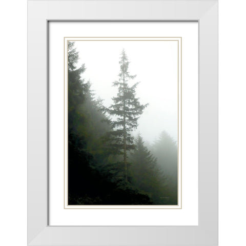 Majestic Pines I White Modern Wood Framed Art Print with Double Matting by Van Swearingen, Debra