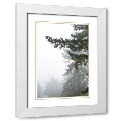 Majestic Pines II White Modern Wood Framed Art Print with Double Matting by Van Swearingen, Debra