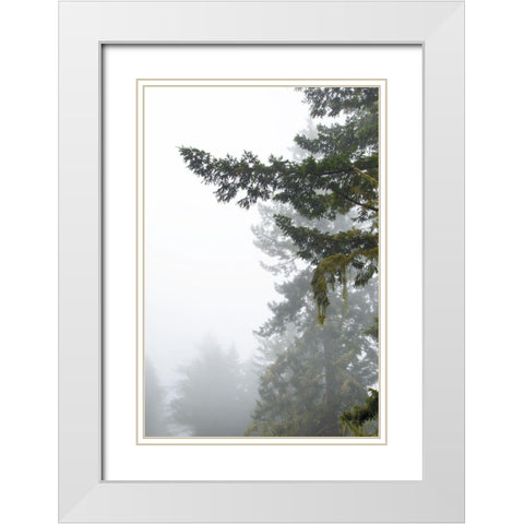 Majestic Pines II White Modern Wood Framed Art Print with Double Matting by Van Swearingen, Debra