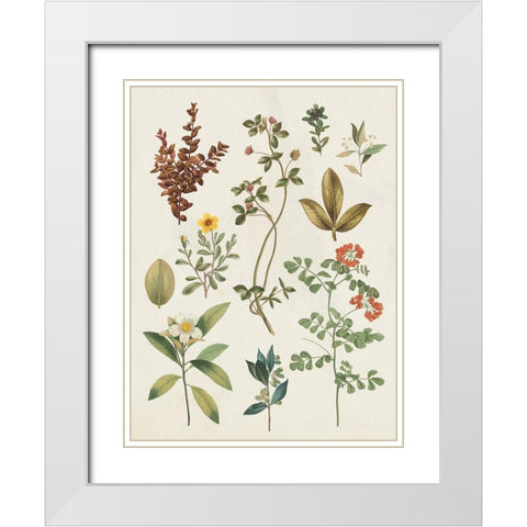 Victorian Garden III Autumn Crop I White Modern Wood Framed Art Print with Double Matting by Wild Apple Portfolio