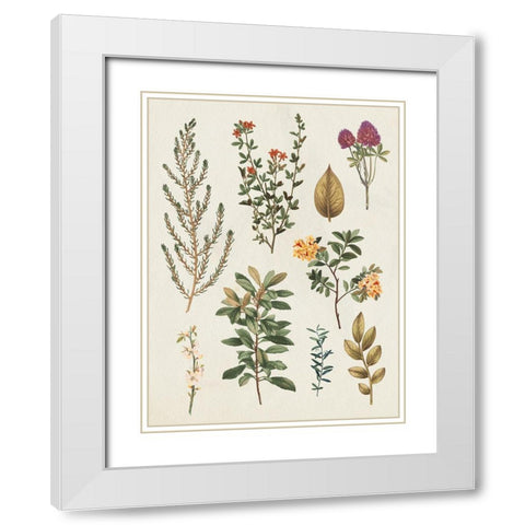 Victorian Garden III Autumn Crop II White Modern Wood Framed Art Print with Double Matting by Wild Apple Portfolio