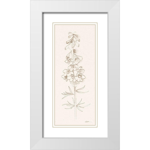 Delphinium I White Modern Wood Framed Art Print with Double Matting by Novak, Shirley