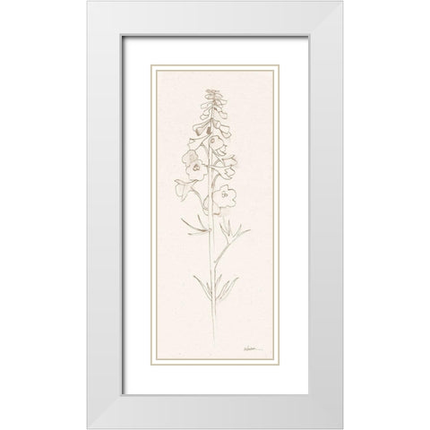 Delphinium II White Modern Wood Framed Art Print with Double Matting by Novak, Shirley