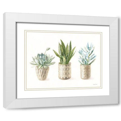 Desert Greenhouse VII White Modern Wood Framed Art Print with Double Matting by Nai, Danhui