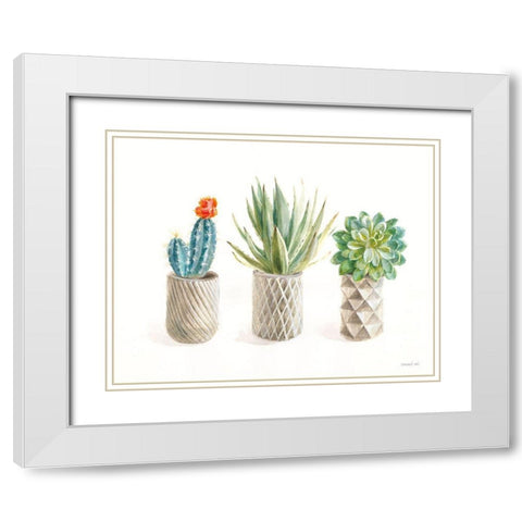 Desert Greenhouse VIII White Modern Wood Framed Art Print with Double Matting by Nai, Danhui