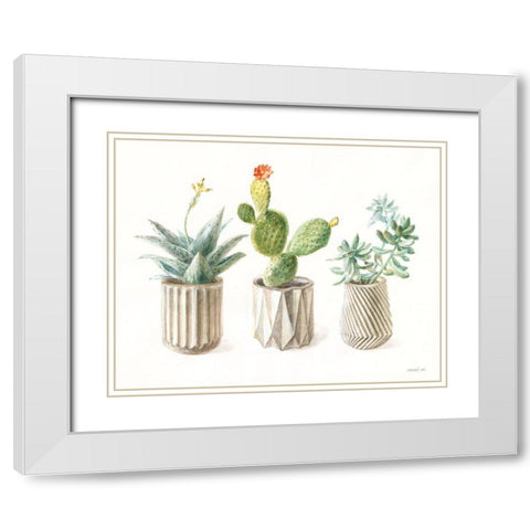 Desert Greenhouse IX White Modern Wood Framed Art Print with Double Matting by Nai, Danhui