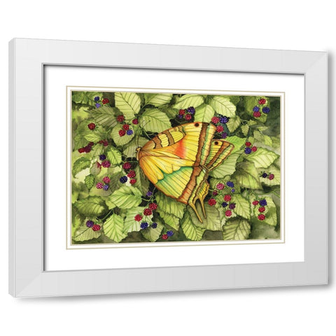 Bountiful Butterfly White Modern Wood Framed Art Print with Double Matting by McKenna, Kathleen Parr