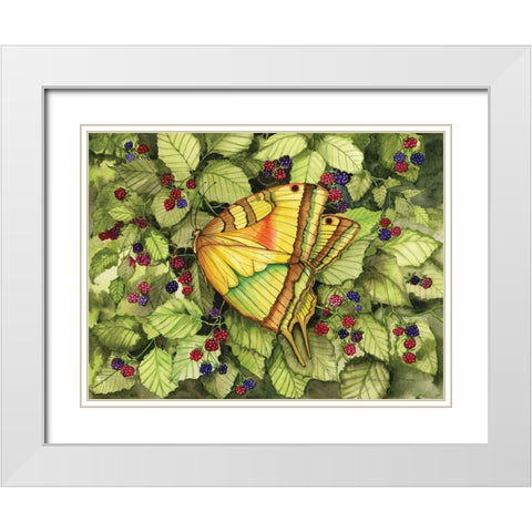 Bountiful Butterfly White Modern Wood Framed Art Print with Double Matting by McKenna, Kathleen Parr