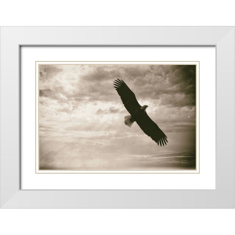 Sunray Eagle White Modern Wood Framed Art Print with Double Matting by Larson, Nathan