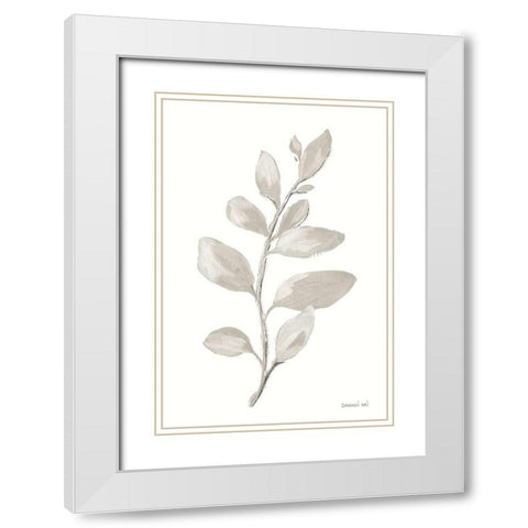 Gray Sage Leaves I on White White Modern Wood Framed Art Print with Double Matting by Nai, Danhui