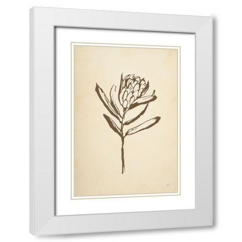Vintage Line Protea I White Modern Wood Framed Art Print with Double Matting by Paschke, Chris