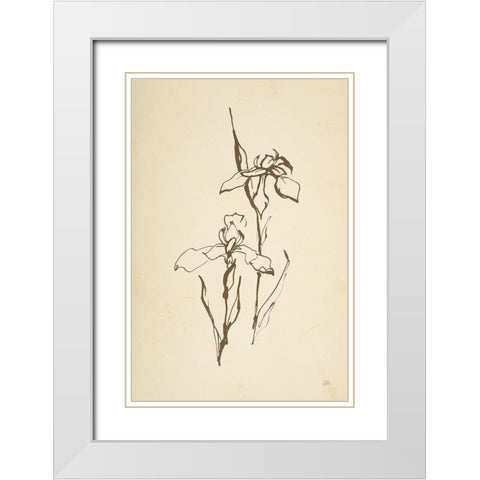 Vintage Line Iris II White Modern Wood Framed Art Print with Double Matting by Paschke, Chris