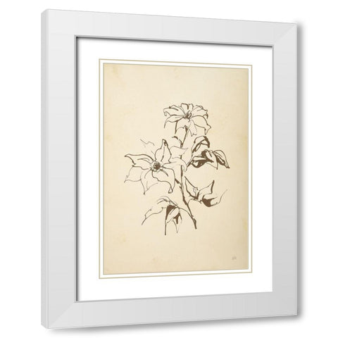 Vintage Line Clematis White Modern Wood Framed Art Print with Double Matting by Paschke, Chris